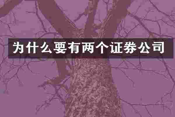 为什么要有两个证券公司