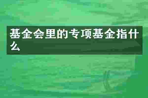 基金会里的专项基金指什么