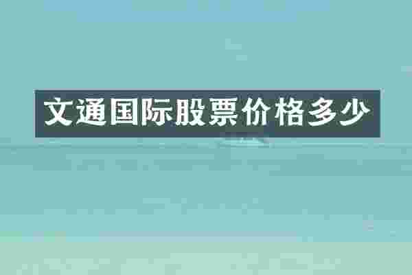 文通国际股票价格多少