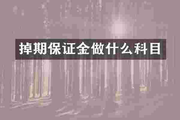 掉期保证金做什么科目
