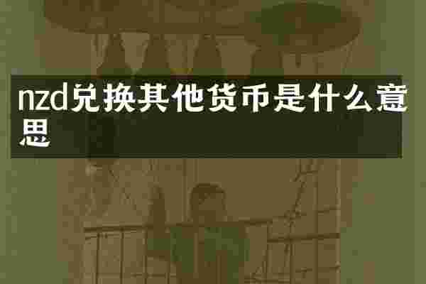 nzd兑换其他货币是什么意思
