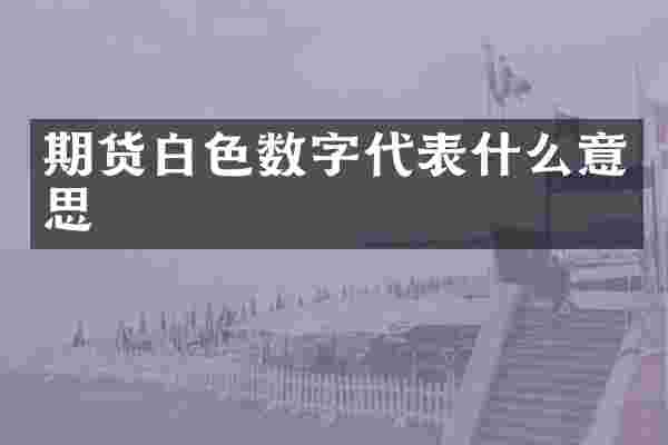 期货白色数字代表什么意思