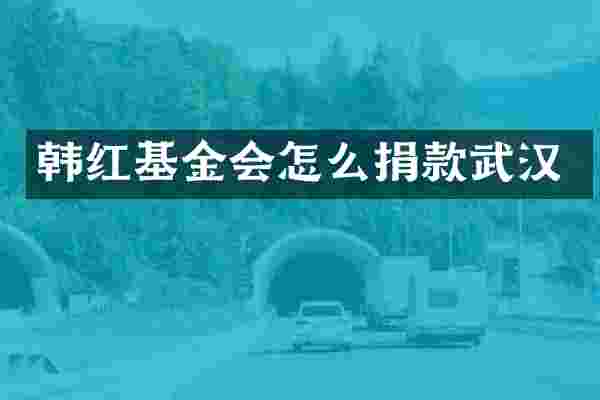 韩红基金会怎么捐款武汉