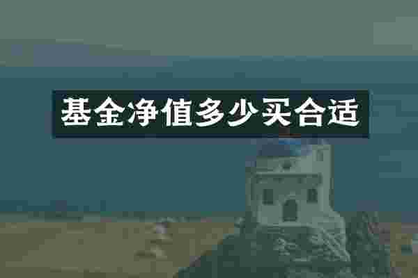 基金净值多少买合适