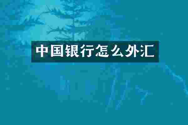中国银行怎么外汇