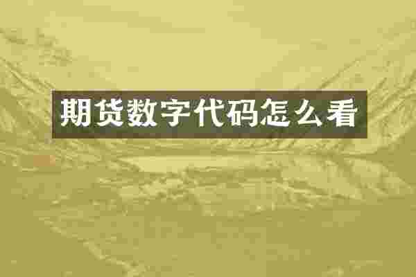 期货数字代码怎么看