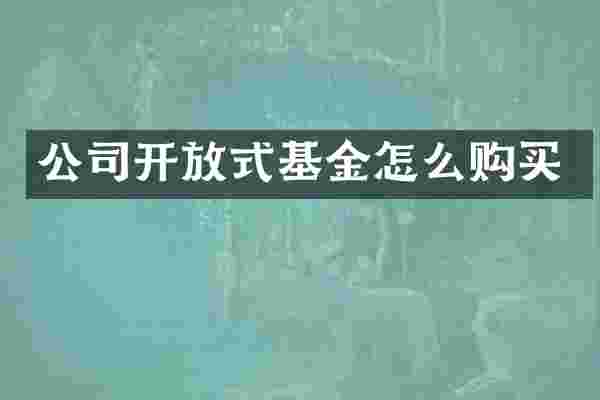 公司开放式基金怎么购买