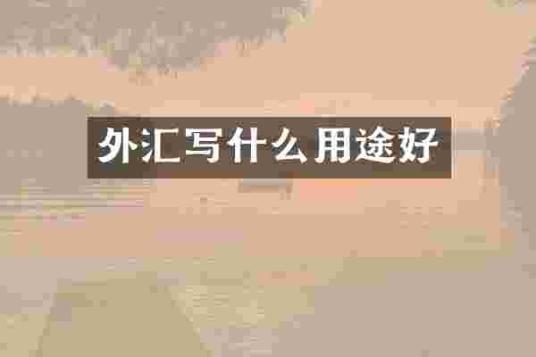 外汇写什么用途好