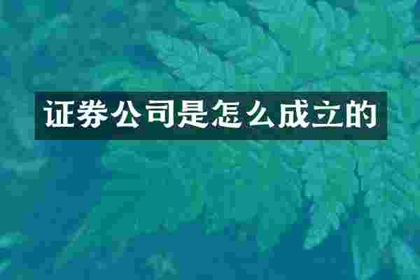 证券公司是怎么成立的