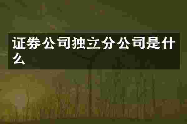 证券公司独立分公司是什么