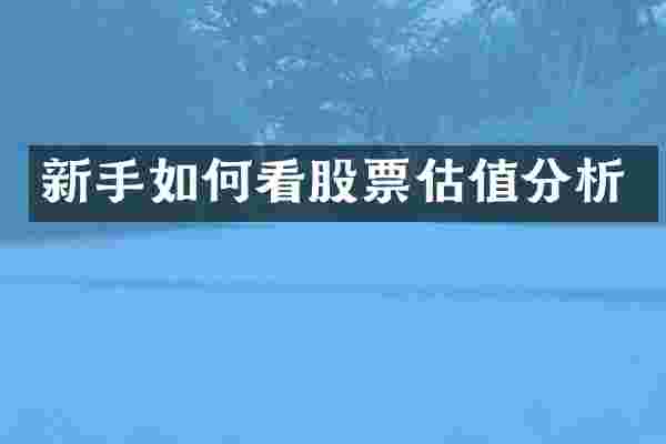 新手如何看股票估值分析