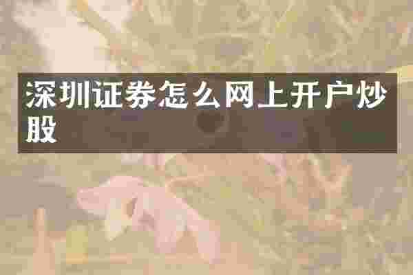 深圳证券怎么网上开户炒股