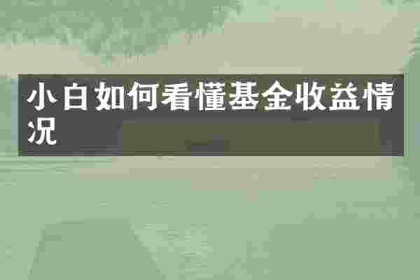 小白如何看懂基金收益情况