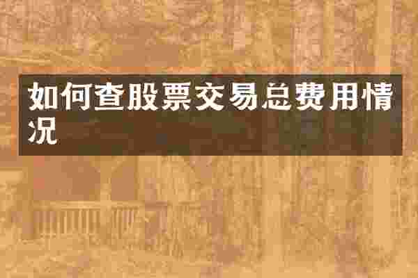 如何查股票交易总费用情况