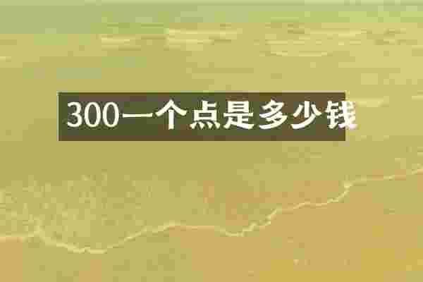300一个点是多少钱
