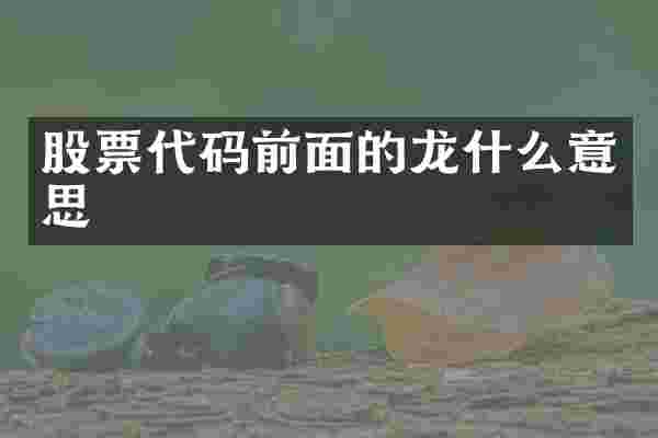 股票代码前面的龙什么意思