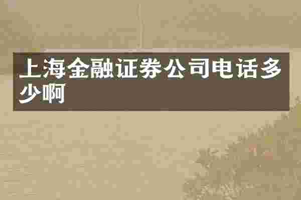 上海金融证券公司电话多少啊