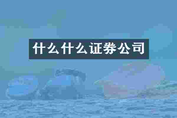 什么什么证券公司