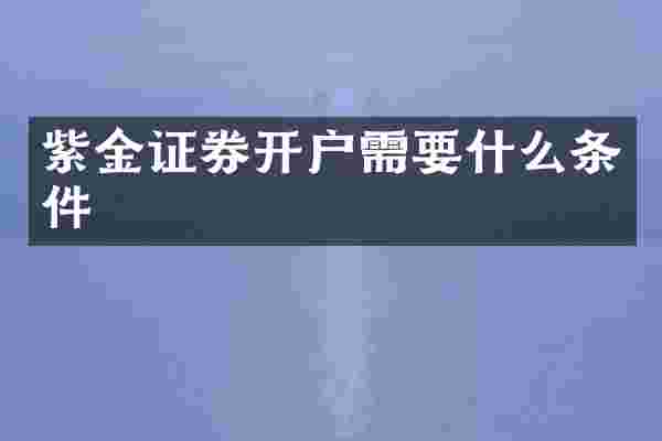 紫金证券开户需要什么条件