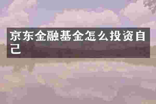 京东金融基金怎么投资自己