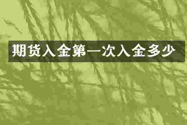 期货入金第一次入金多少