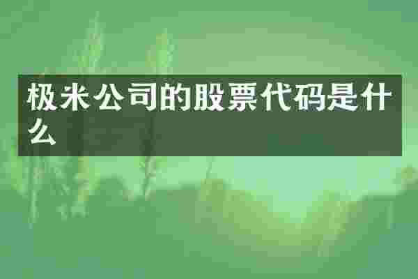 极米公司的股票代码是什么