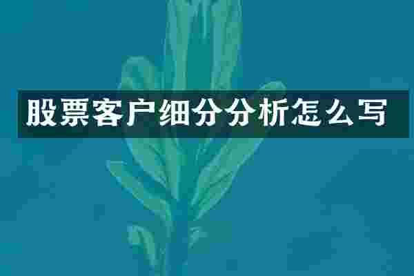 股票客户细分分析怎么写