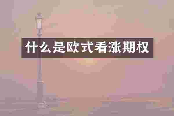 什么是欧式看涨期权