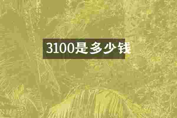 3100是多少钱