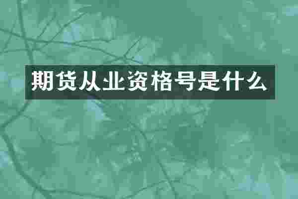 期货从业资格号是什么