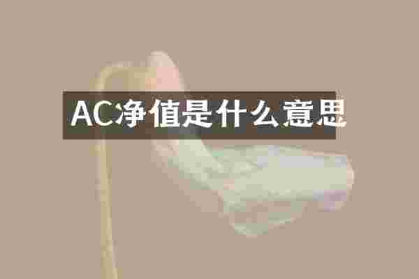 AC净值是什么意思
