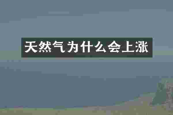 天然气为什么会上涨