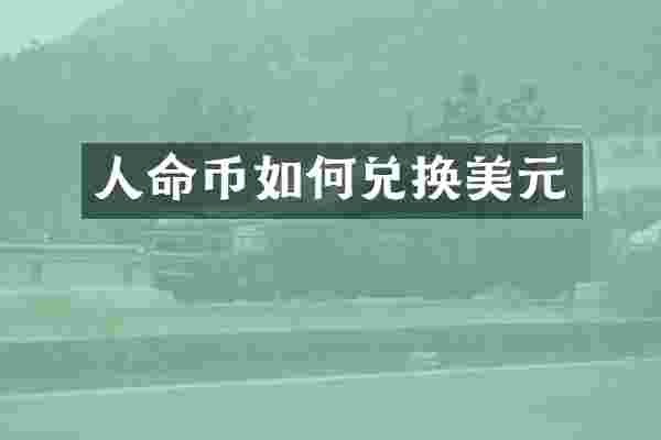 人命币如何兑换美元