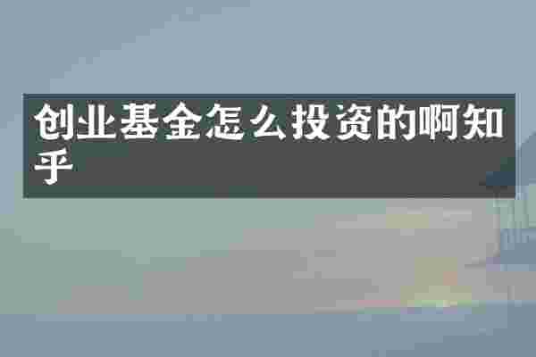 创业基金怎么投资的啊知乎