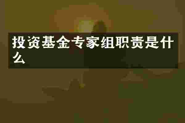 投资基金专家组职责是什么