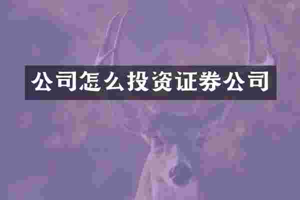 公司怎么投资证券公司