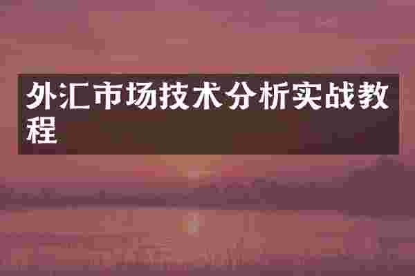 外汇市场技术分析实战教程