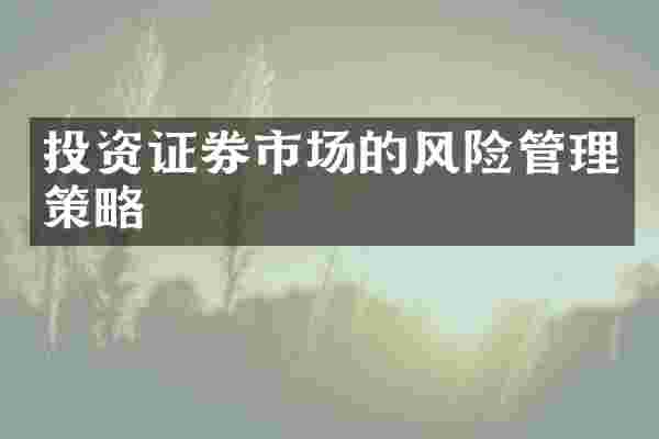 投资证券市场的风险管理策略