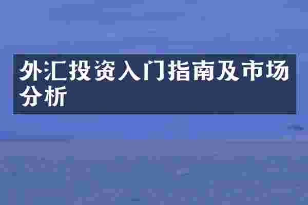 外汇投资入门指南及市场分析