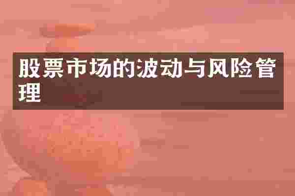 股票市场的波动与风险管理