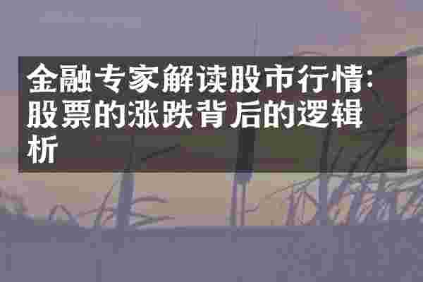 金融专家解读股市行情：股票的涨跌背后的逻辑分析