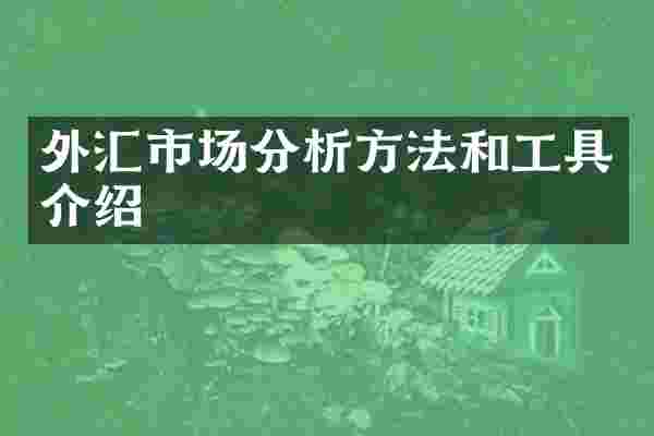 外汇市场分析方法和工具介绍