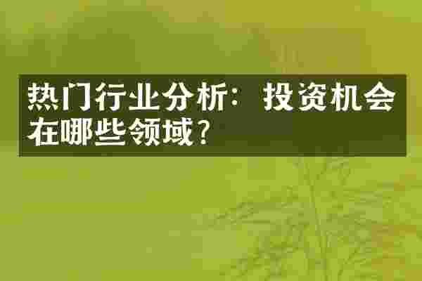 热门行业分析：投资机会在哪些领域？