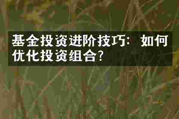 基金投资进阶技巧：如何优化投资组合？