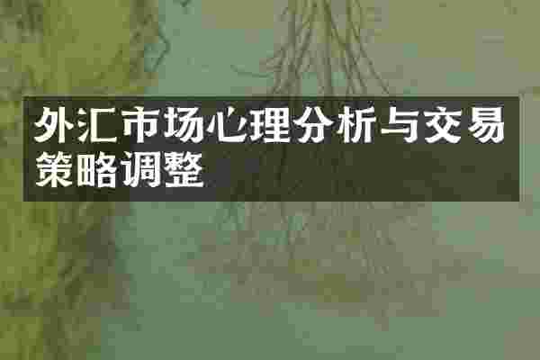 外汇市场心理分析与交易策略调整
