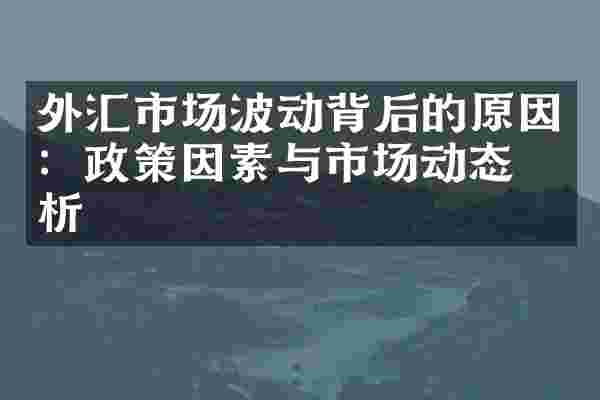 外汇市场波动背后的原因：政策因素与市场动态分析