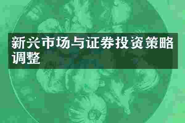 新兴市场与证券投资策略调整