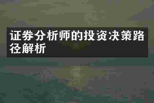 证券分析师的投资决策路径解析