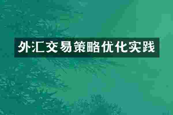 外汇交易策略优化实践