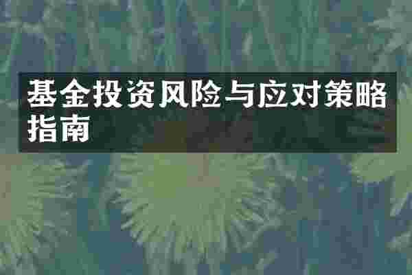 基金投资风险与应对策略指南